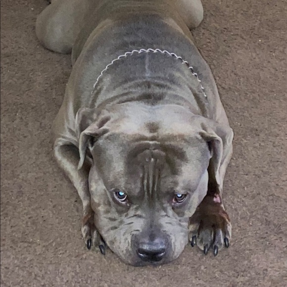 Meet your Posher, Darrell - Picture 1 of 1